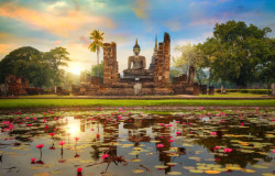 Navigator of the Seas